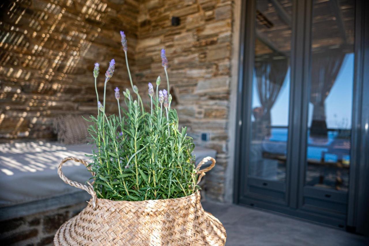 Aerino Seaside Villa Agios Romanos Eksteriør bilde